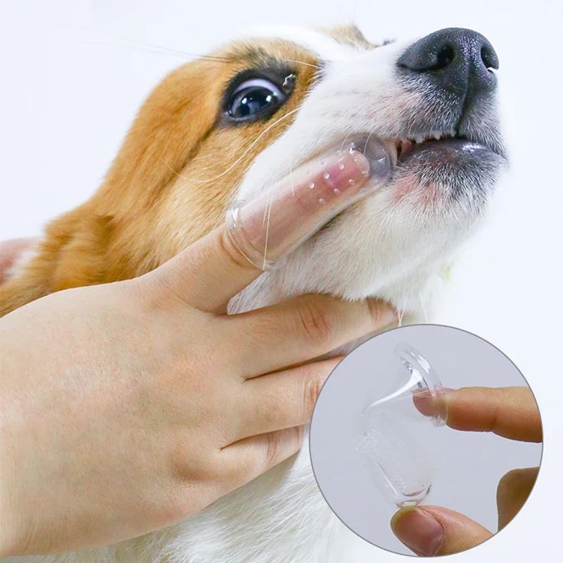 Escova de dentes super macia Escova de Dedo Oral-Care DUTRIEUX™: Higiene Avançada em Sílica Gelpara animais de estimação
